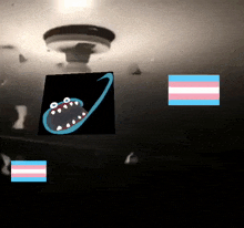 a drawing of a shark with a transgender flag in the background