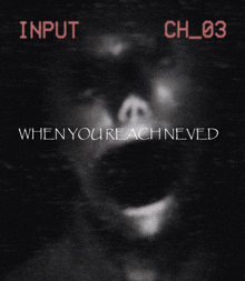 a black and white image of a face with the words input ch_03 when you reach neved