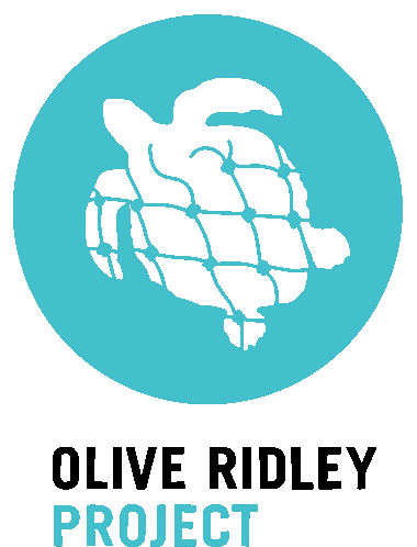 Olive Ridley Project Orp Sticker - Olive Ridley Project Orp Sea Turtles Stickers