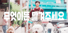 a man is walking two small dogs on a leash in a city street