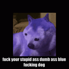 Blue Dog GIF - Blue Dog GIFs