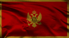 montenegro flag waving