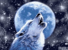 wolf moon sparkle stars