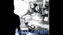 lucazcord gregcord jakecord