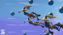 What Have I Done Wile E Coyote GIF - What Have I Done Wile E Coyote Space Jam A New Legacy GIFs