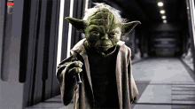 Yoda Bring It GIF - Yoda Bring It Im Ready GIFs