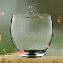 a glass sitting on top of a book that says ' tomorrow '