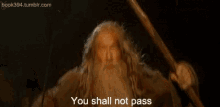 You Shall Not Pass Gandalf GIF - You Shall Not Pass Gandalf GIFs