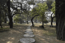 India Park GIF - India Park Trees GIFs