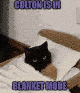 a black cat wrapped in a white blanket with the words colton is in blanket mode above it