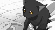a black cat with yellow eyes is being petting by a person 's hand
