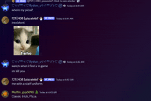 a screenshot of a chat with a picture of a cat and the words " where my pizza " at the top