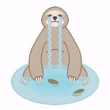 sloth animal cute sad cry