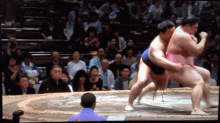 Ura Ura Kazuki GIF - Ura Ura Kazuki Sumo Wrestling GIFs