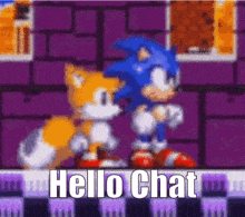 sonic the hedgehog and tails from sonic the hedgehog are standing next to each other in a video game .