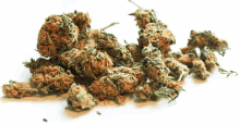 Weed GIF - Gif Drugs Cannabis GIFs