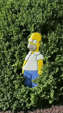 Homer Bush GIF - Homer Bush Hide GIFs