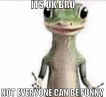 a lizard with a caption that says `` its ok bro not everyone can be funny ''