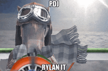 a horse wearing goggles and a scarf with the words pdj rylan it below it