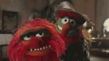Dr Teeth Animal GIF - Dr Teeth Animal Muppets GIFs