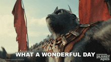 What A Wonderful Day Proximus Caesar GIF - What A Wonderful Day Proximus Caesar Kingdom Of The Planet Of The Apes GIFs