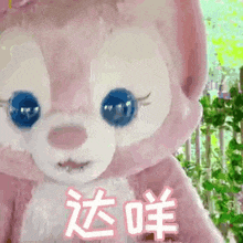 a stuffed animal with blue eyes and chinese writing on it .