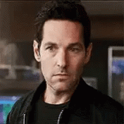 Marvel Antman And The Wasp GIF - Marvel Antman And The Wasp Scott Lang GIFs