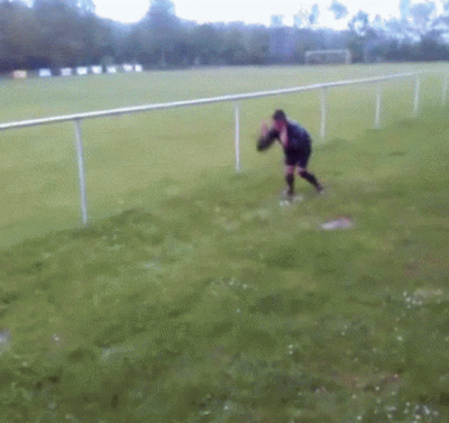untitled.gif