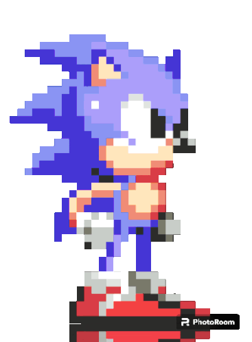 Sonic Sticker