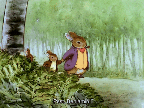 Peter calls out to Benjamin