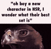 an eagle with the words " oh boy a new character in hsr , i wonder what their best set is "