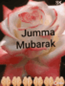 Jumma Mubarak Very Blessed GIF - Jumma Mubarak Very Blessed Flower GIFs