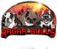 ragarbulls ragarbulldogs