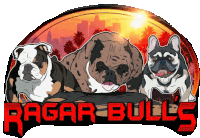 Ragarbulls Ragarbulldogs Sticker - Ragarbulls Ragarbulldogs Stickers