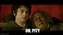Lord Of The Rings Pity GIF - Lord Of The Rings Pity GIFs