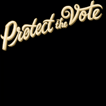 Protect The Vote Wisconsin Vrl GIF