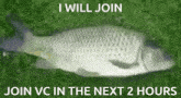 I Will Join Vc In The Next Two Hours GIF - I Will Join Vc In The Next Two Hours I Will Join Vc I Will Join GIFs