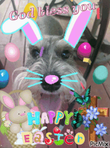 otto otto dog meme cult easter easter sunday