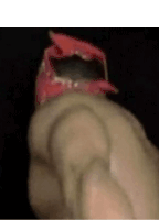 a person is holding a red item in their hand .
