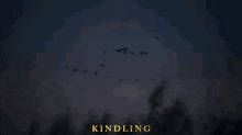 Kindling Kindling Film GIF - Kindling Kindling Film Kindlingfilm GIFs