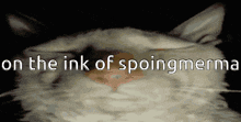 On The Ink Of Spoingmerma Splatoon GIF - On The Ink Of Spoingmerma Splatoon Spoingmerma GIFs