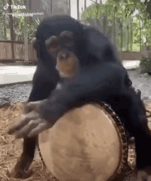 GIF
