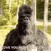 I Love You Approve GIF - I Love You Approve Gorilla GIFs