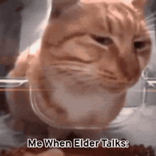 Elder Vrc GIF - Elder Vrc Sus Cat GIFs