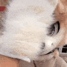 a close up of a white cat laying on a blanket .