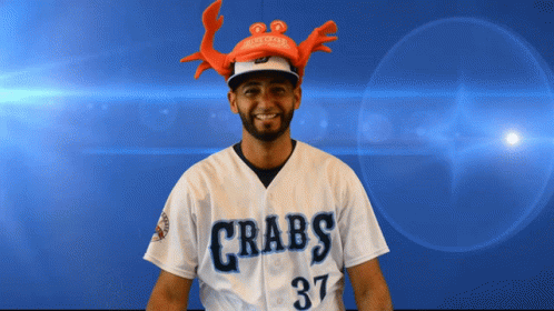 Blue Crabs GIF - Blue Crabs GIFs