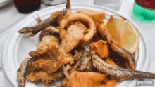Frittura Pesce Napoli GIF - Frittura Pesce Napoli Food GIFs