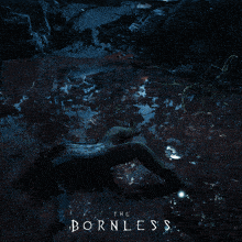 a video game called the bornless has a skeleton in the woods