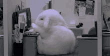 Bunny Sleeps At Computer GIF - Bunny Sleep Cute GIFs