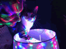 Party Lights GIF - Party Lights Chat GIFs